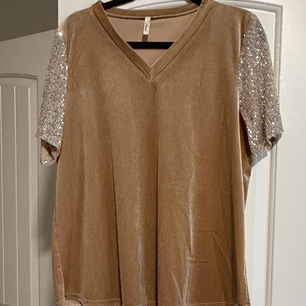 Hesed Glamorous Tan Sequin Sleeve Women's Top